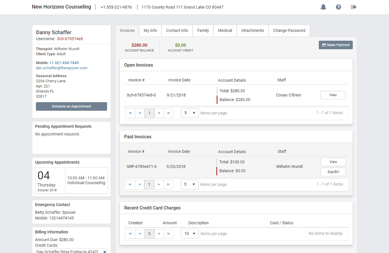 Client access their profile using the client portal in TherapyZen